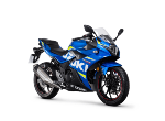 SUZUKI GSX 250R BUJİLERİ