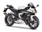 ZX6R FREN BALATASI